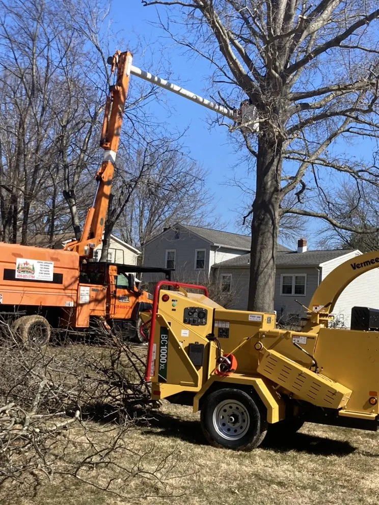 Local landscape design with custom design in Princeton, NJ by Chajon Landscaping & tree service