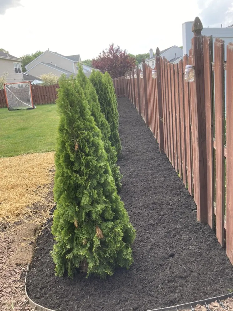 Affordable landscape installation experts serving Princeton, NJ - Chajon Landscaping & tree service