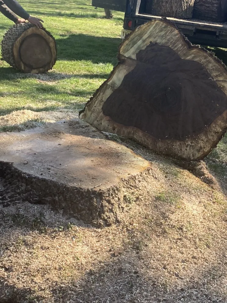 Professional landscaping services in Princeton, NJ - Chajon Landscaping & tree service