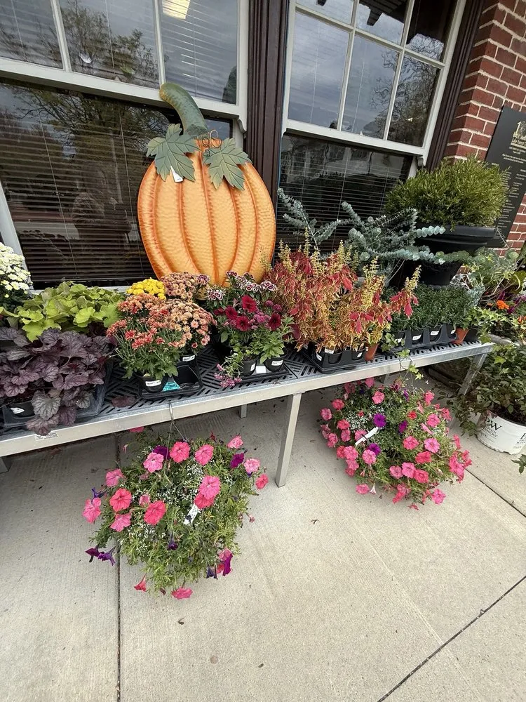 Affordable landscaping services for year-round maintenance across Lake Forest, IL - Chalet