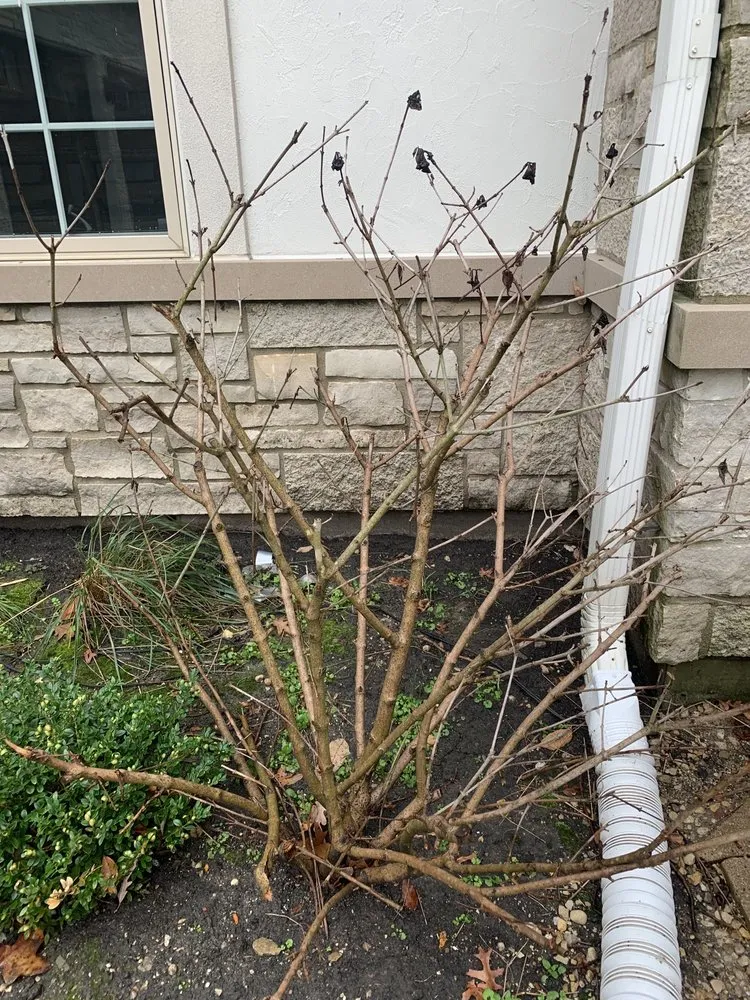 Expert landscaping services with custom design across Wilmette, IL - Chalet Landscape