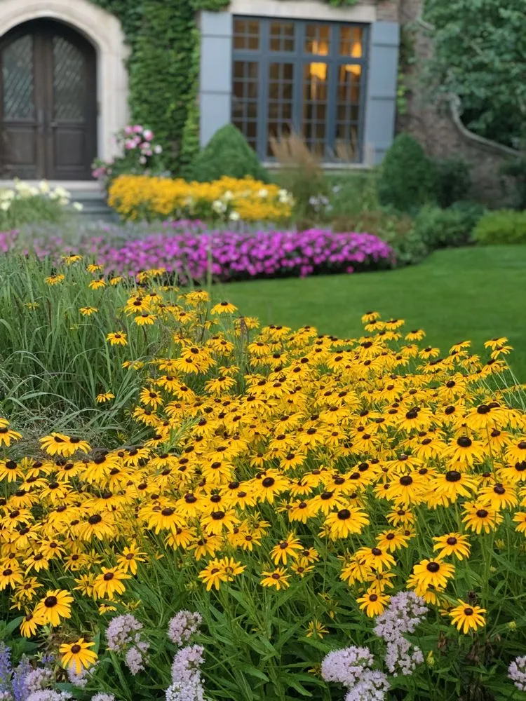 Trusted landscaping services for beautiful yards across Wilmette, IL - Chalet Landscape