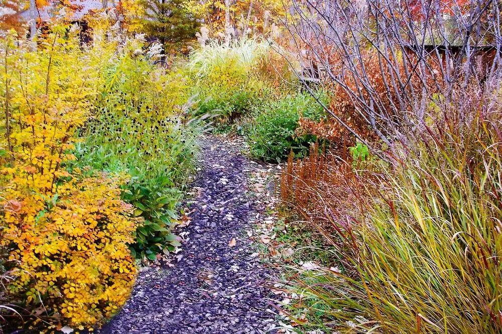 Trusted landscaping services in Wilmette, IL - Chalet Landscape