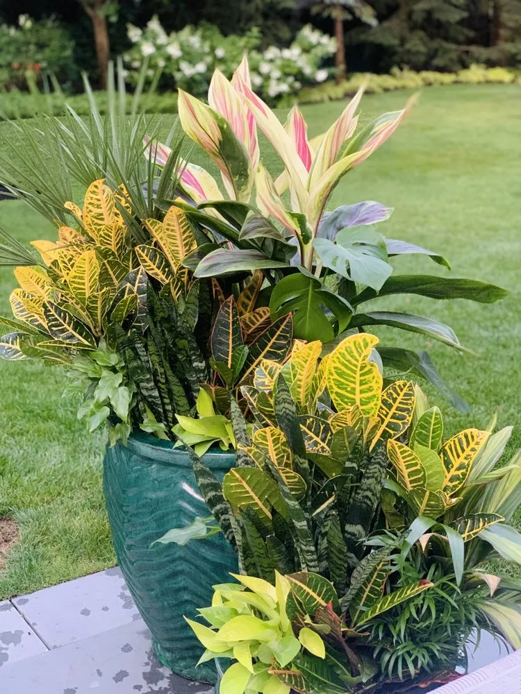 Affordable residential landscaping experts serving Wilmette, IL - Chalet Landscape