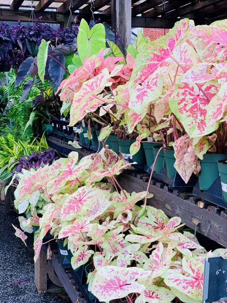 Expert landscape design experts serving Wilmette, IL - Chalet Nursery