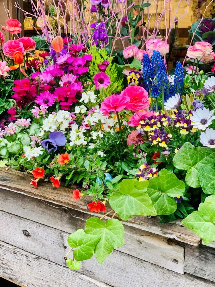 Expert lawn care service with custom design across Wilmette, IL - Chalet Nursery