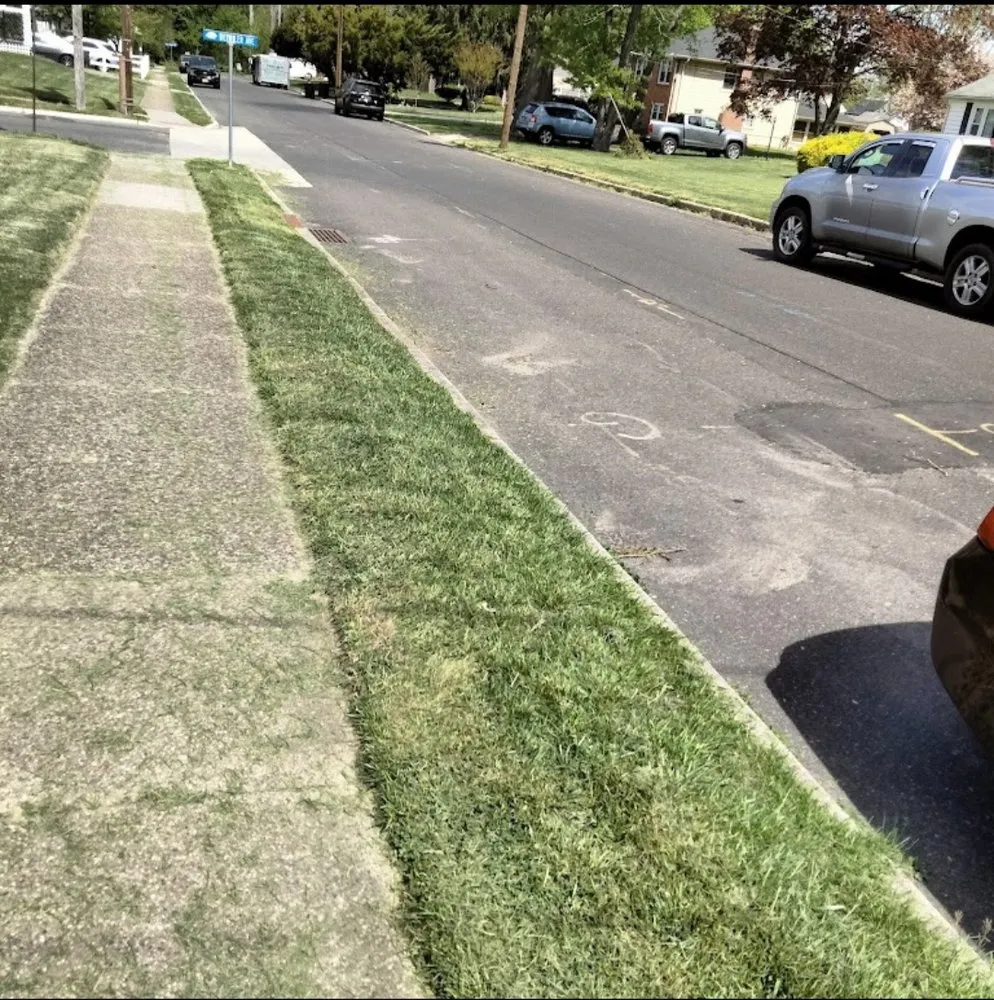 Professional landscape installation in Burlington, NJ - Chalis Cleaning Service