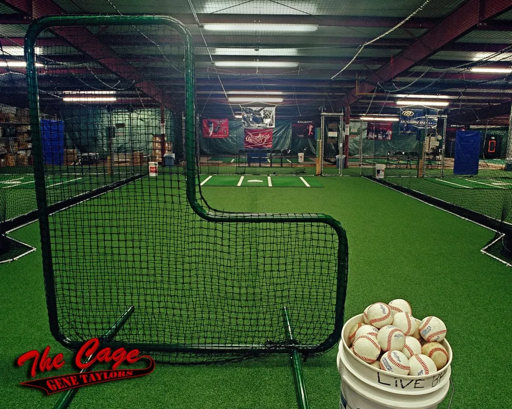 Trusted yard cleanup service in Dalton, GA by Challenger Industries