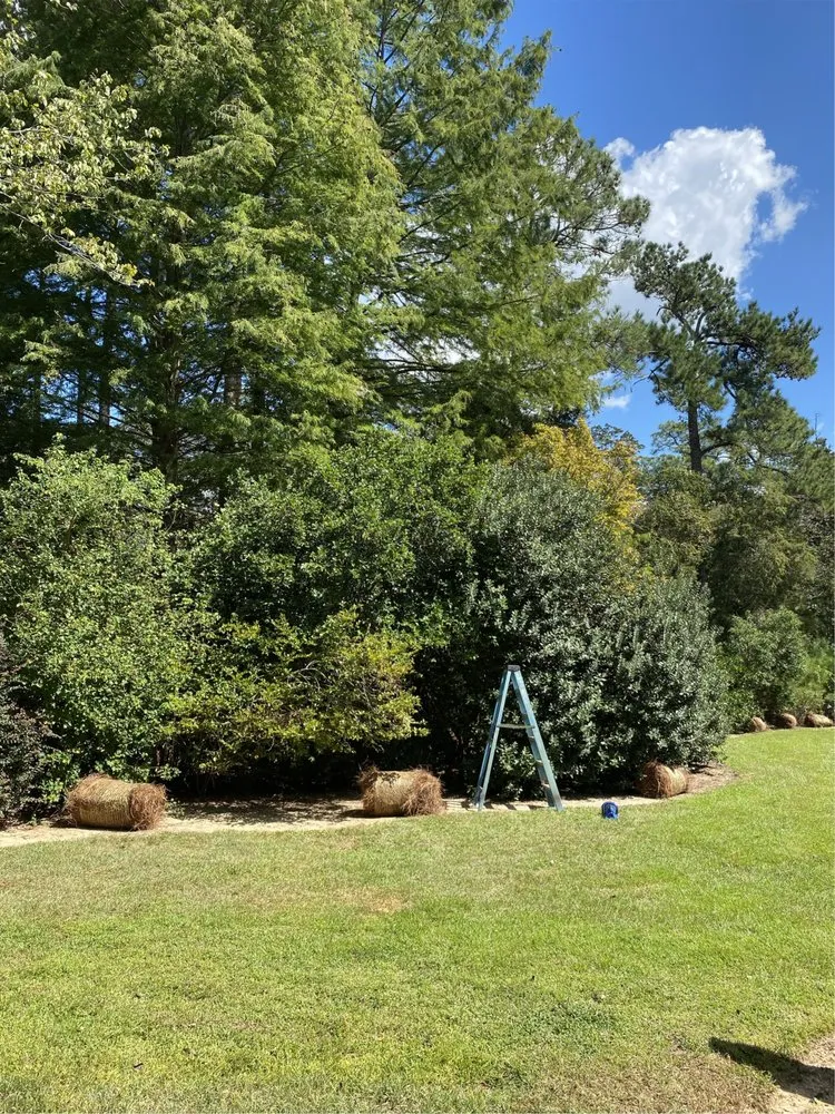 Custom landscape design in Fairhope, AL by Challenger Lawncare and Landscaping