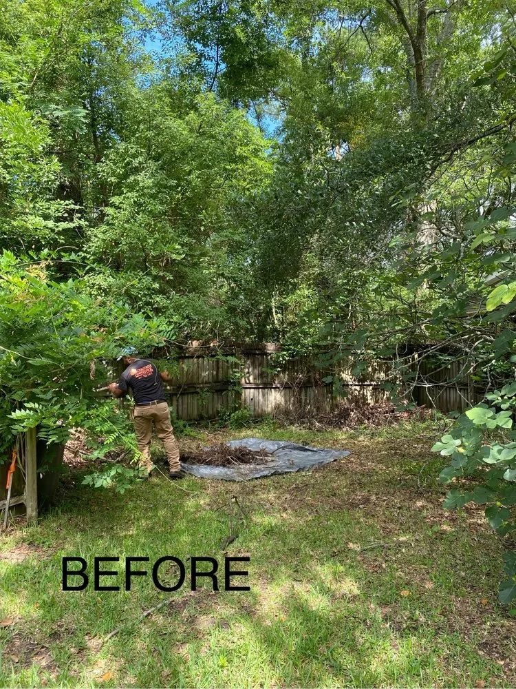 Expert yard maintenance near you across Fairhope, AL - Challenger Lawncare and Landscaping