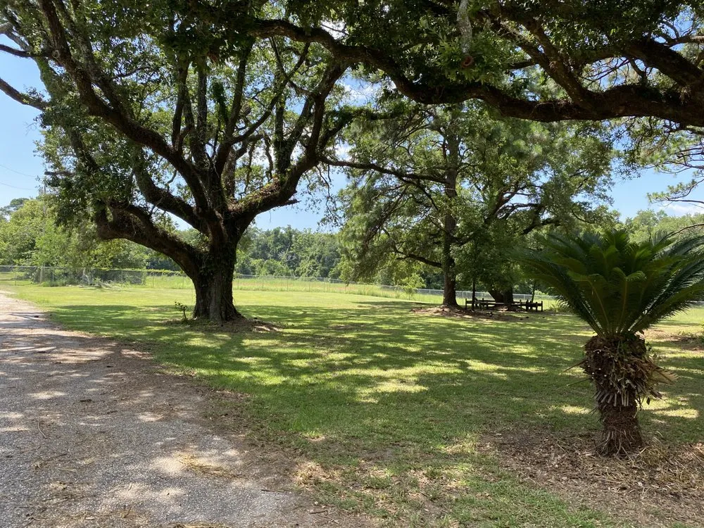 Trusted yard cleanup service experts serving Fairhope, AL - Challenger Lawncare and Landscaping