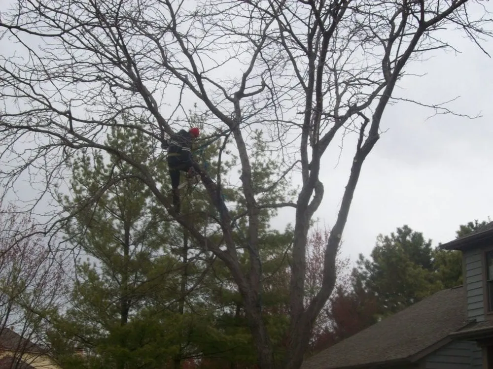 Custom landscape design in Grove City, OH by Challengers Tree Service