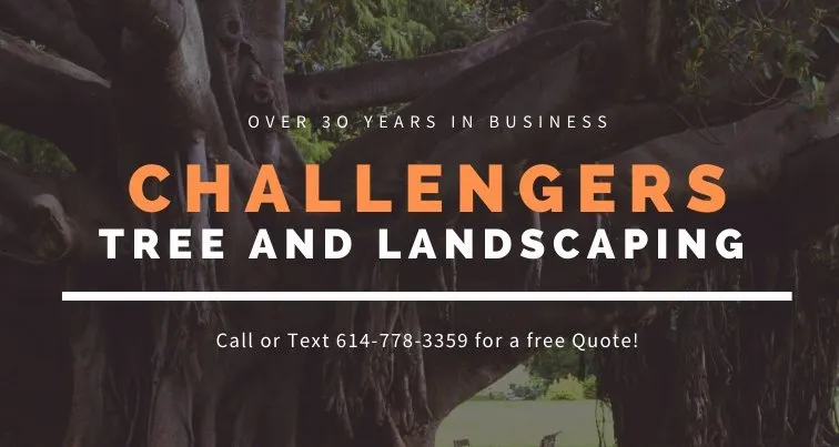 Local landscape installation in Grove City, OH by Challengers Tree Service