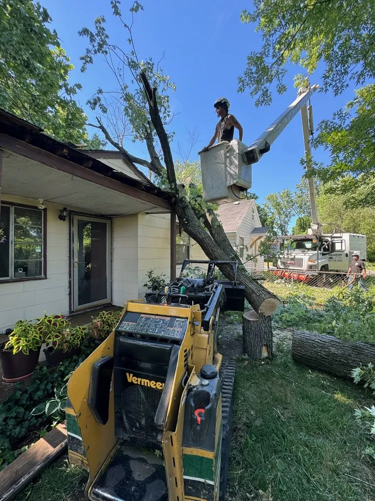 Professional outdoor landscaping with custom design in Grove City, OH by Challengers Tree Service