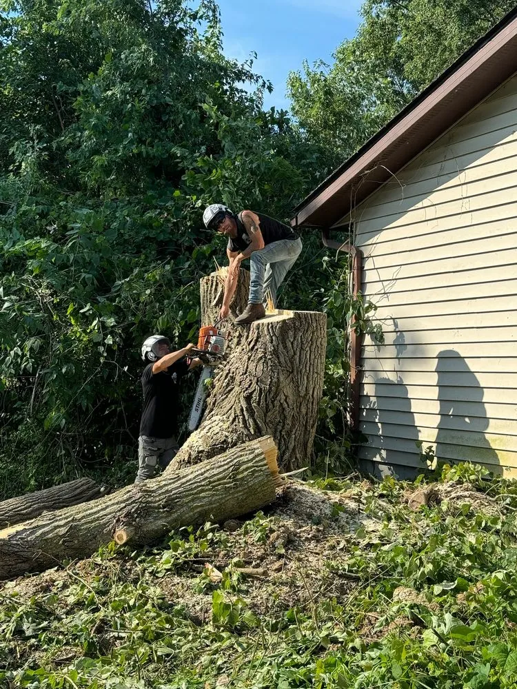 Custom garden landscaping for residential properties in Grove City, OH by Challengers Tree Service