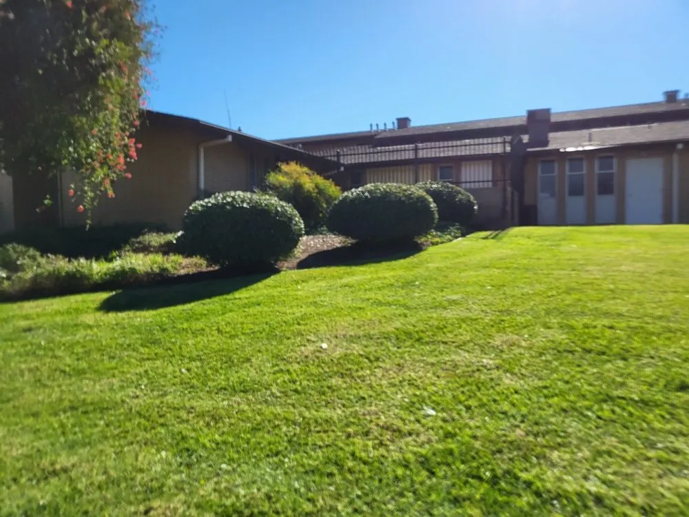 Affordable yard maintenance in San Diego, CA - Chalma Landscaping