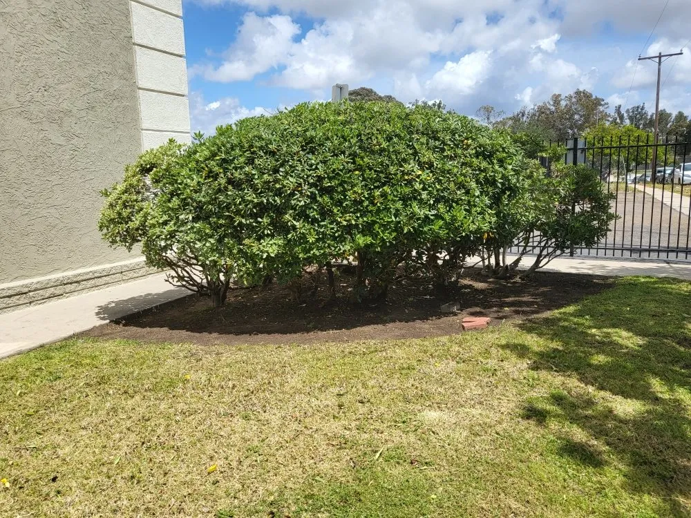 Expert residential landscaping in San Diego, CA - Chalma Landscaping