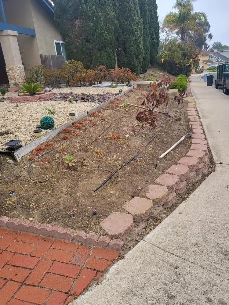 Custom lawn care service for beautiful yards across San Diego, CA - Chalma Landscaping