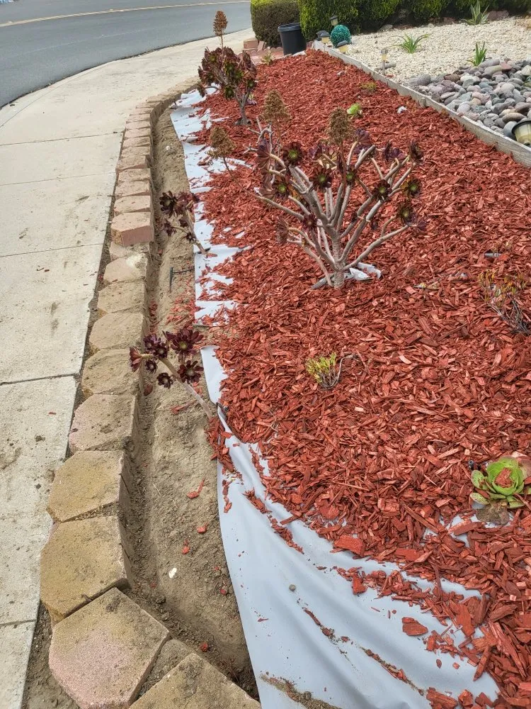 Top-rated garden landscaping in San Diego, CA by Chalma Landscaping