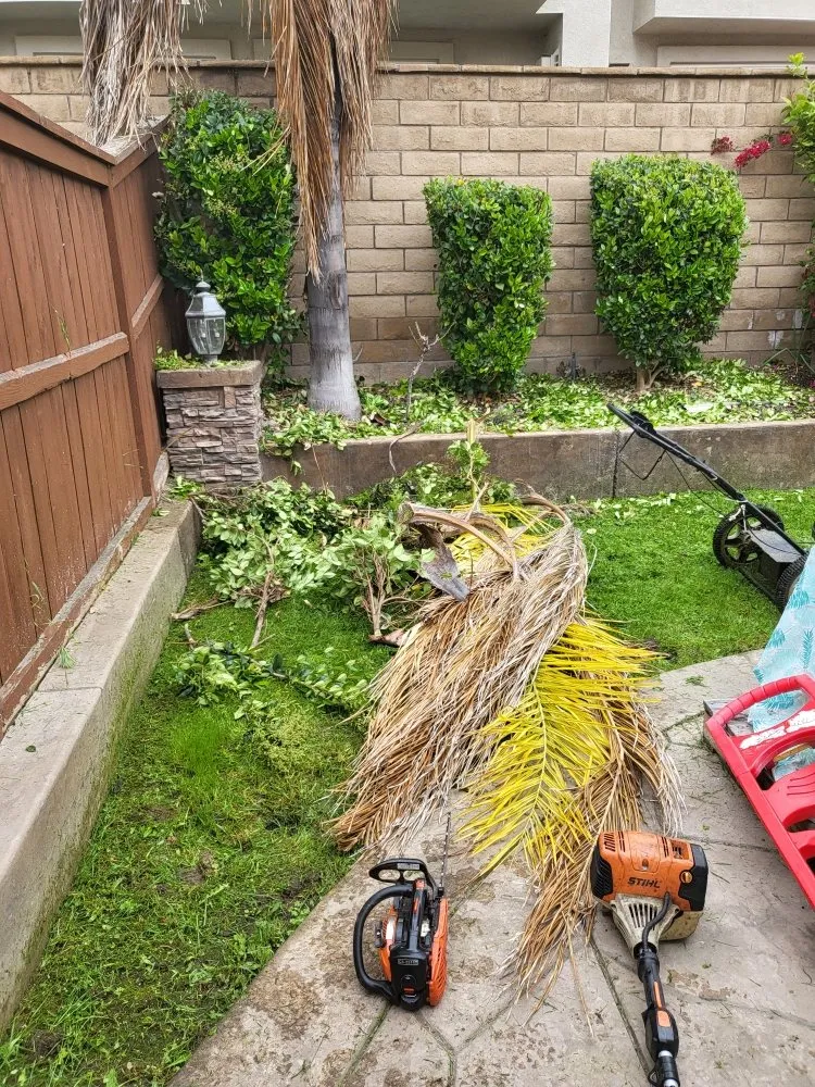 Affordable landscape design in San Diego, CA by Chalma Landscaping