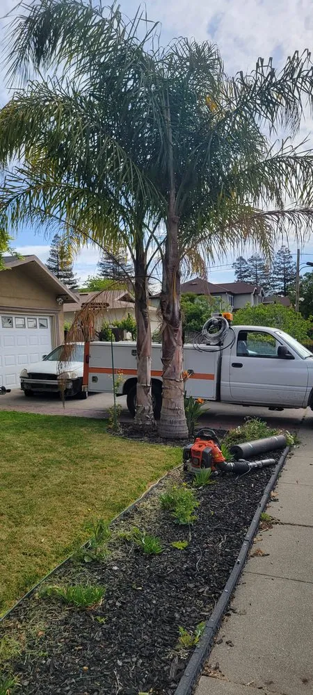Local landscaping services in San Martin, CA by Chalos Landscape Services