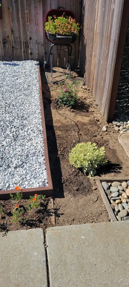 Professional lawn mowing service in San Martin, CA by Chalos Landscape Services