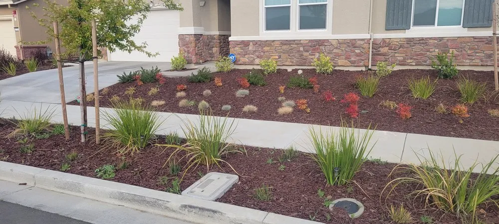 Local landscaping services for residential properties in San Martin, CA by Chalos Landscape Services