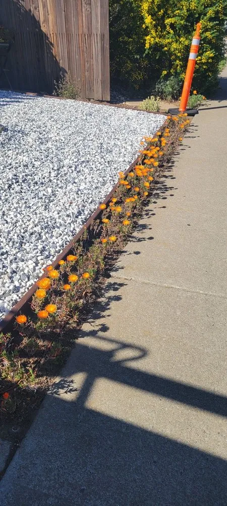 Reliable landscape design for year-round maintenance in San Martin, CA by Chalos Landscape Services