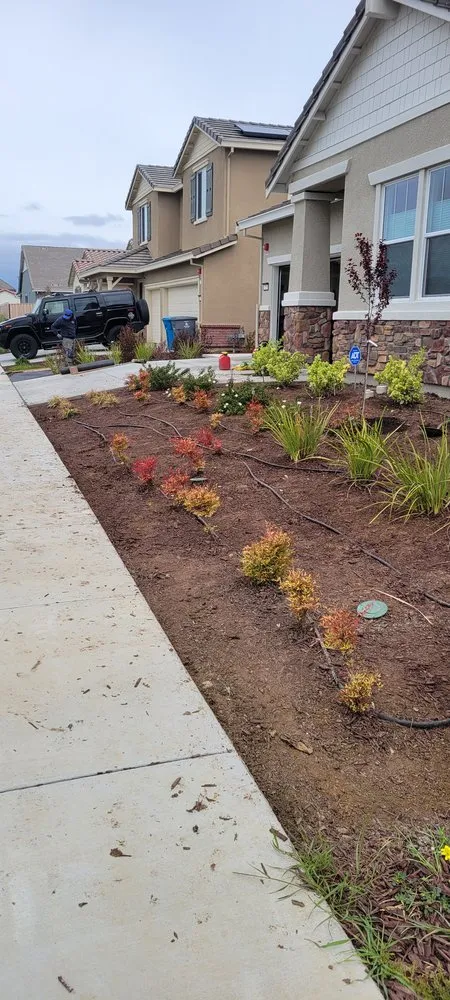 Reliable landscape installation in San Martin, CA by Chalos Landscape Services