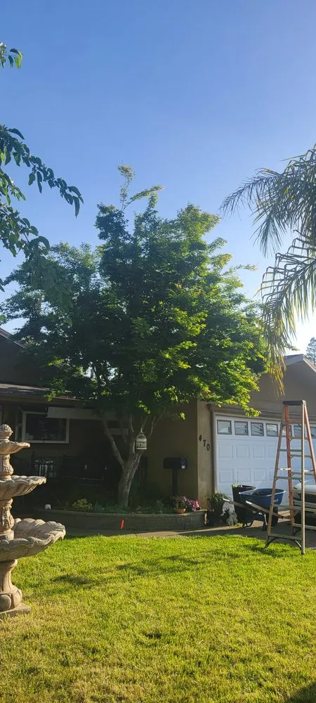 Affordable yard cleanup service with custom design across San Martin, CA - Chalos Landscape Services