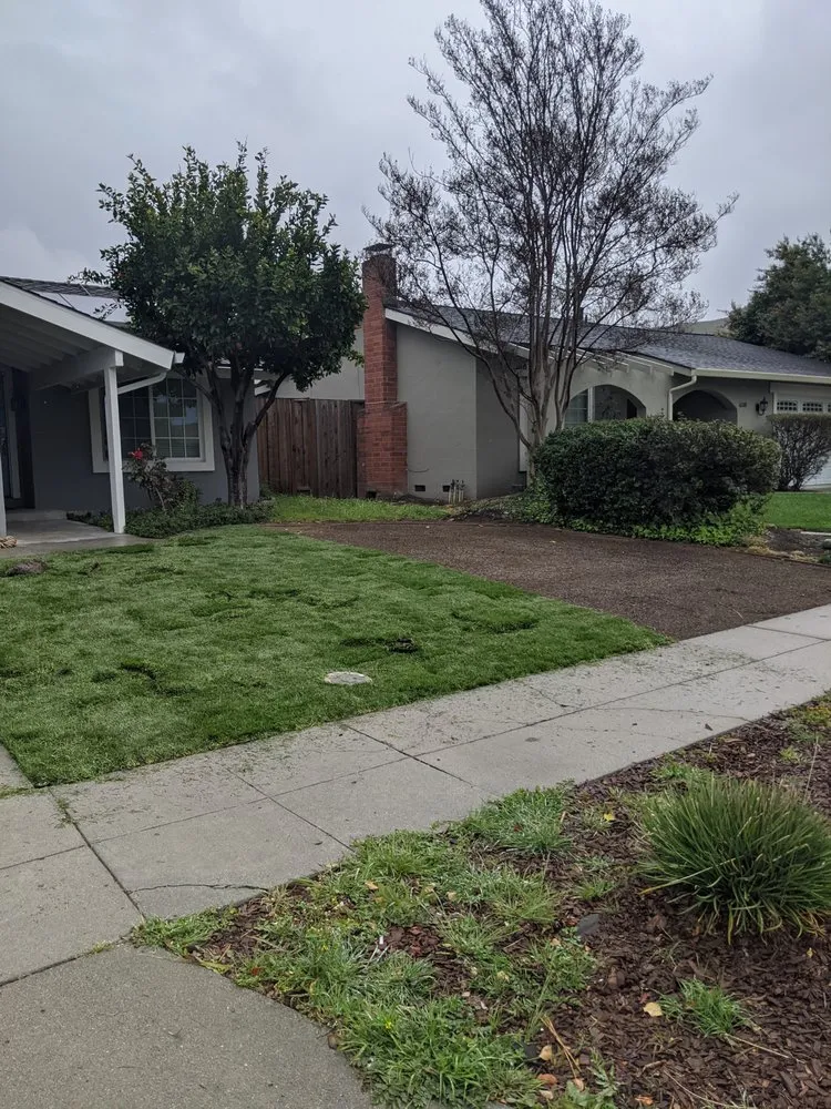 Professional landscape design experts serving San Martin, CA - Chalos Landscape Services