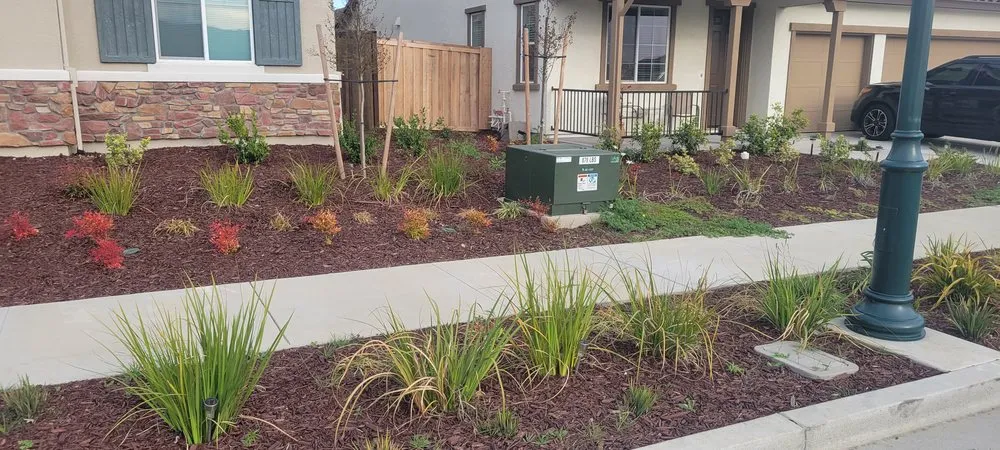 Professional yard maintenance with custom design in San Martin, CA by Chalos Landscape Services