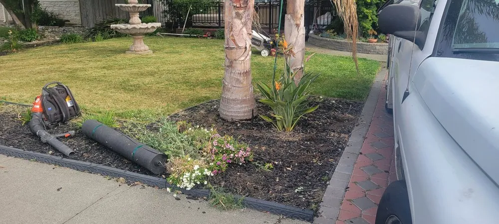 Reliable yard maintenance for homes in San Martin, CA by Chalos Landscape Services