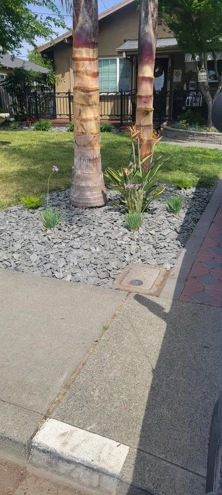 Local outdoor landscaping in San Martin, CA - Chalos Landscape Services