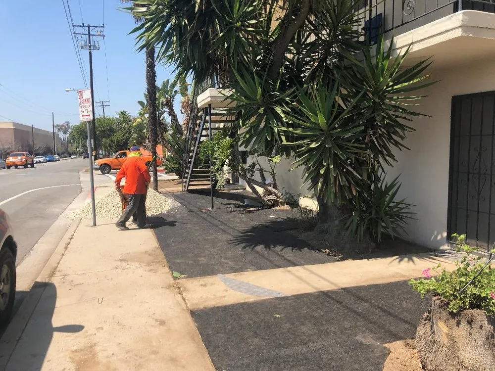 Trusted yard maintenance in Torrance, CA by Chaman