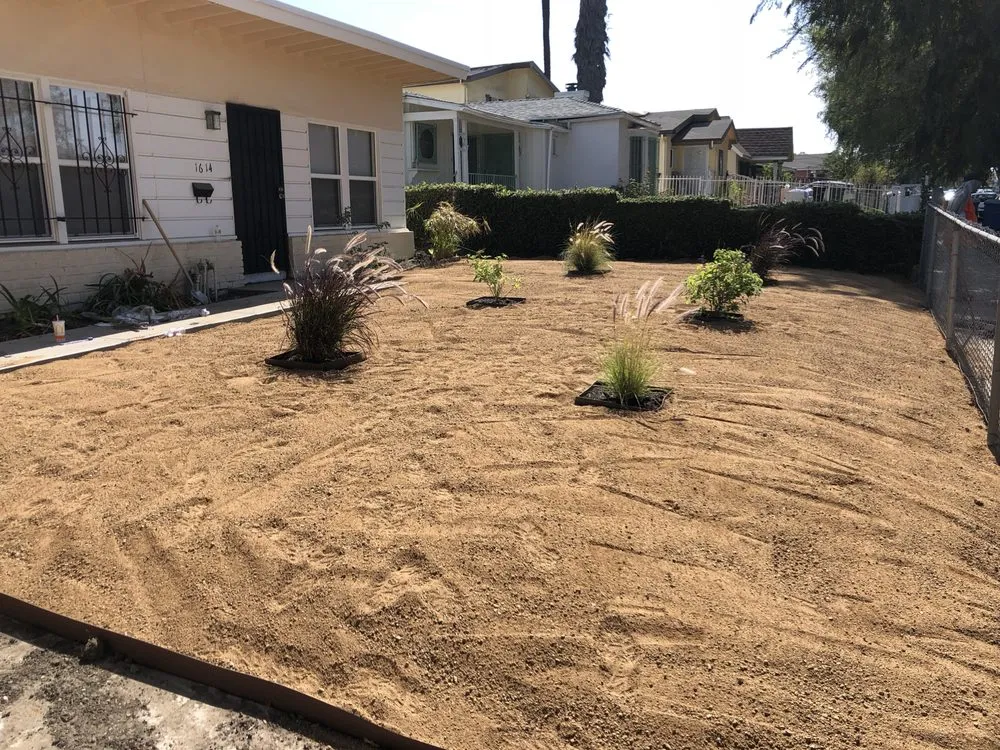 Top-rated yard maintenance in Torrance, CA - Chaman