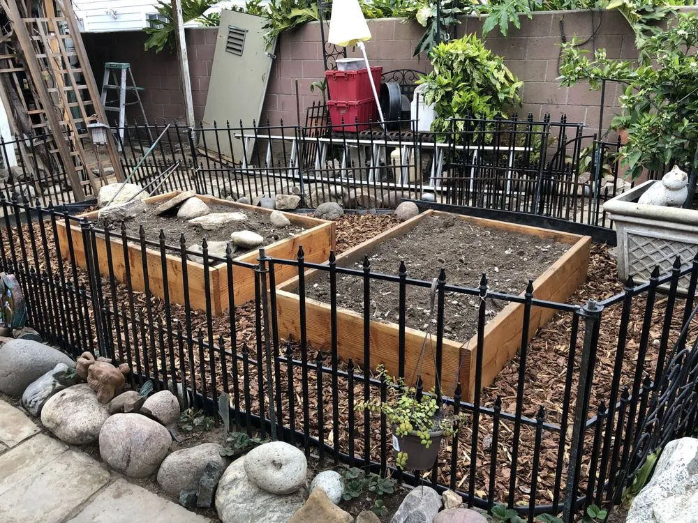 Top-rated yard cleanup service experts serving Torrance, CA - Chaman