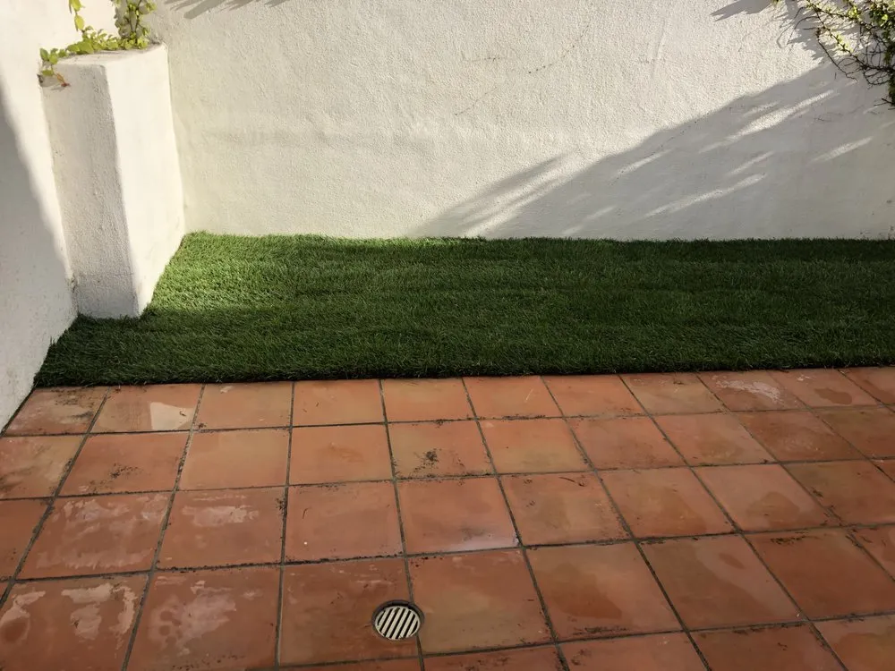 Affordable outdoor landscaping in Torrance, CA - Chaman