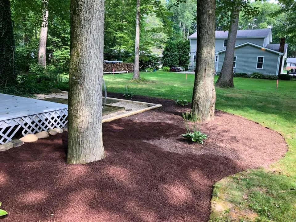 Top-rated yard cleanup service in Niles, OH by Chamberlain Lawn Care