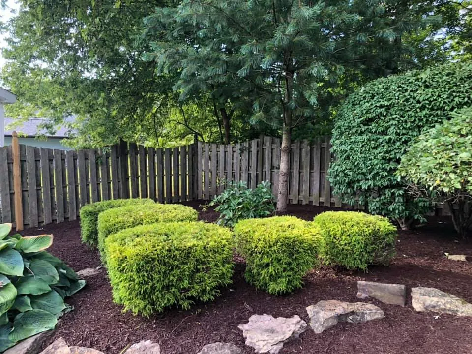 Trusted lawn mowing service for year-round maintenance in Niles, OH by Chamberlain Lawn Care