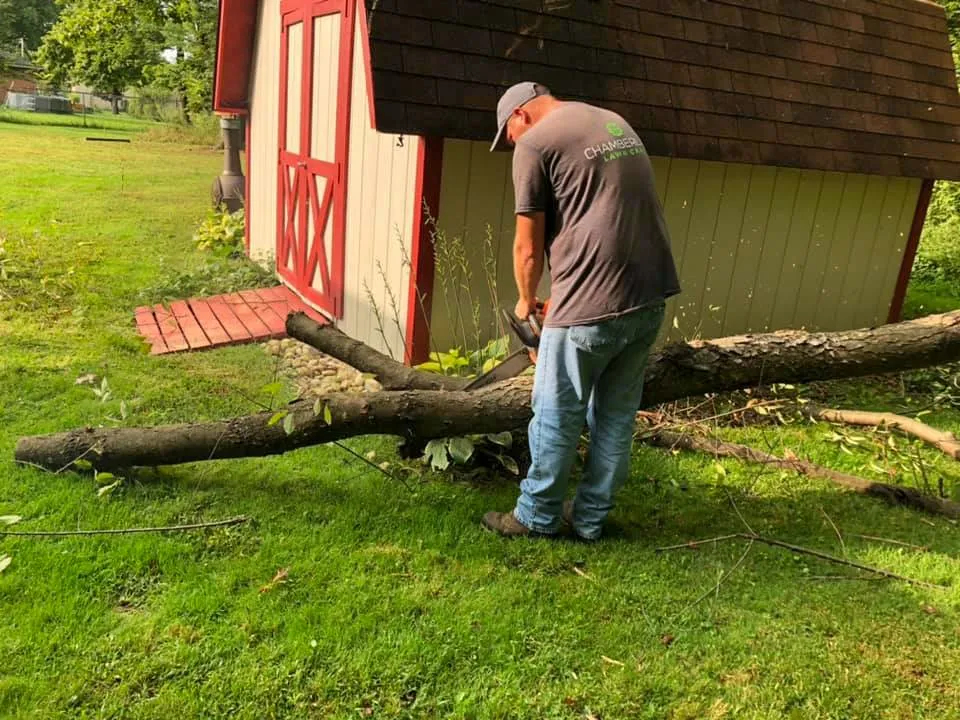 Custom yard cleanup service in Niles, OH by Chamberlain Lawn Care