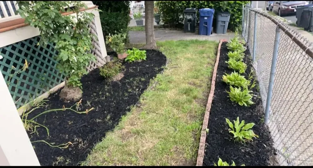Reliable lawn care service in Boston, MA - Chambers All Season Landscaping