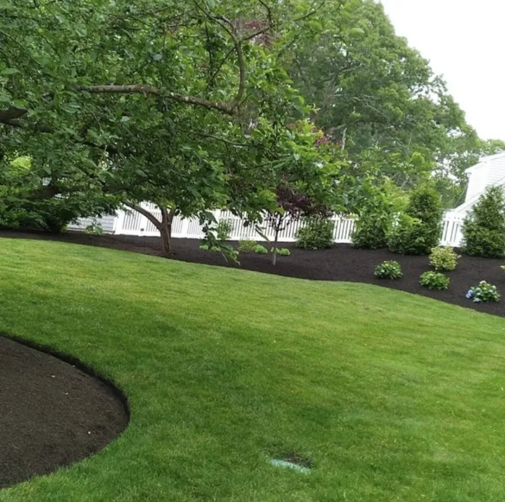 Top-rated yard cleanup service in Boston, MA by Chambers All Season Landscaping