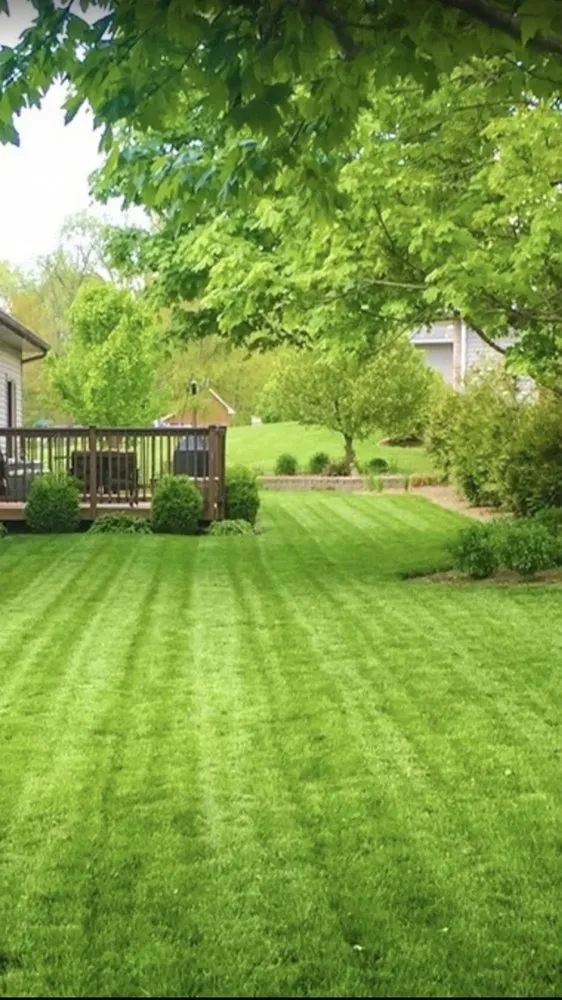 Custom yard maintenance experts serving Boston, MA - Chambers All Season Landscaping