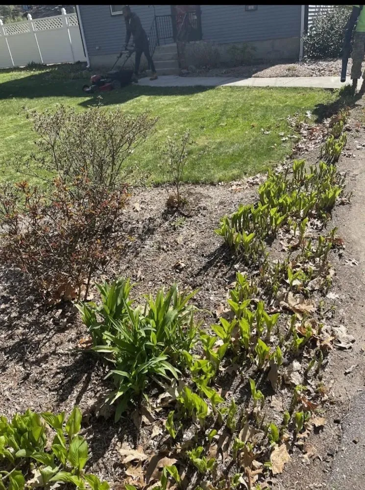 Local yard maintenance in Boston, MA by Chambers All Season Landscaping