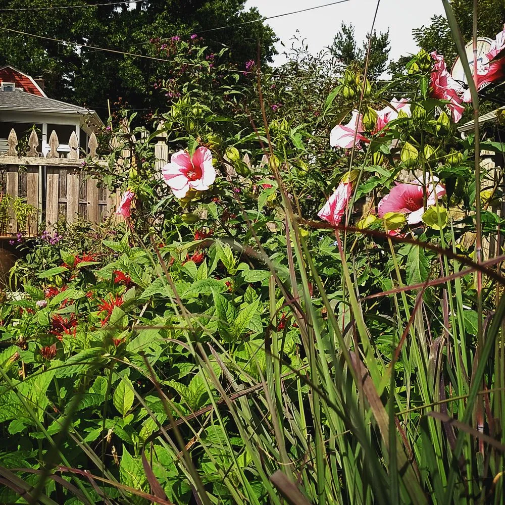 Trusted yard cleanup service in South Orange, NJ by Chambers Design