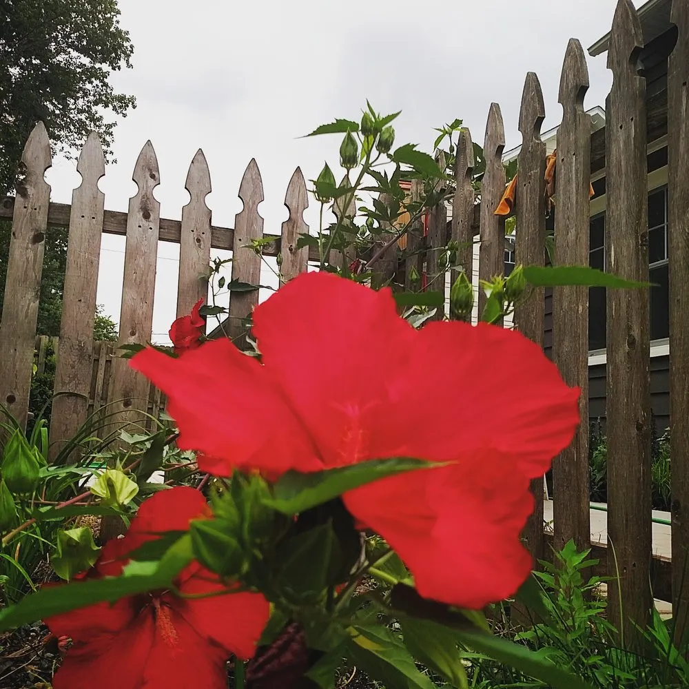 Reliable garden landscaping with custom design across South Orange, NJ - Chambers Design