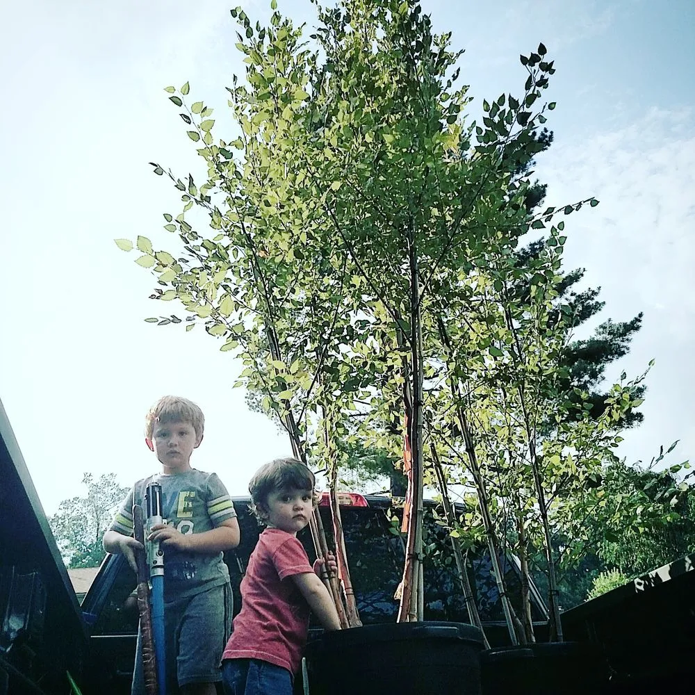 Affordable residential landscaping in South Orange, NJ by Chambers Design