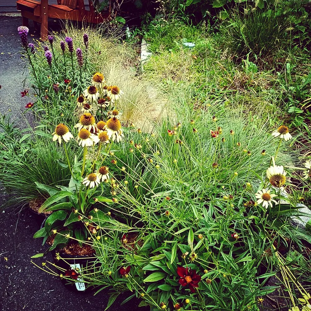 Professional yard cleanup service in South Orange, NJ by Chambers Design