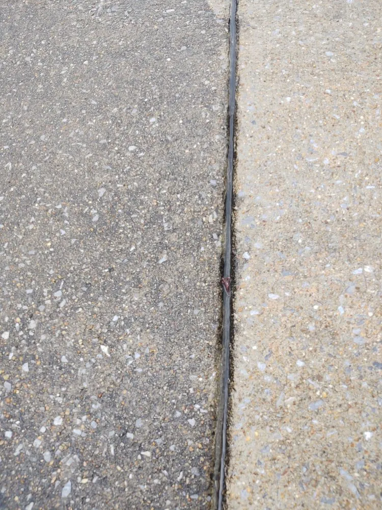 Reliable yard cleanup service in Calera, AL by Chambers Lawn Care and pressure washing